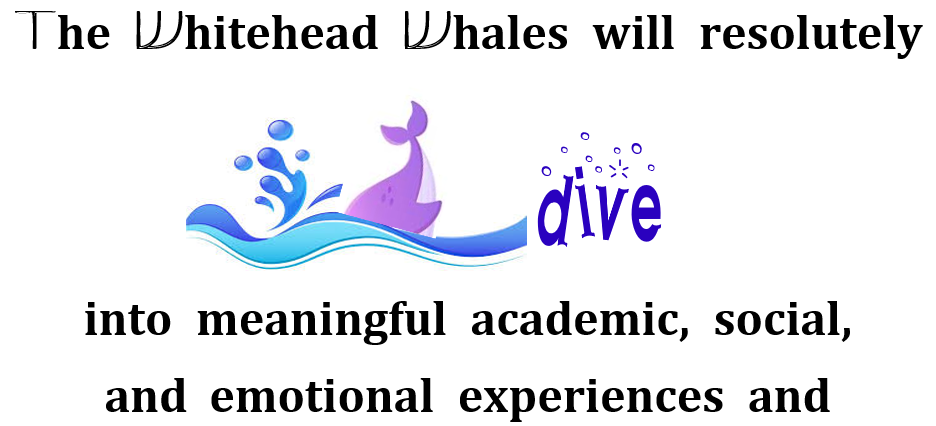 The Whitehead Whales will resolutely dive into meaningful academic, social, and emotional experiences and